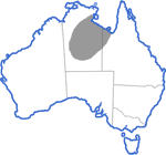 Distribution map for Cyclorana maculosa