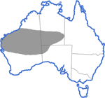 Distribution map for Cyclorana maini