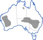 Distribution map for Cyclorana platycephala