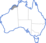 Distribution map for Cyclorana vagita