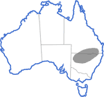 Distribution map for Cyclorana verrucosa
