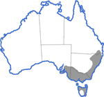 Distribution map for Limnodynastes dumerili