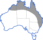 Distribution map for Opisthodon ornatus