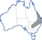 Distribution map for Limnodynastes salmini