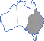 Distribution map for Limnodynastes tasmaniensis