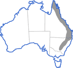 Distribution map for Limnodynastes terraereginae