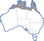 Distribution map for Litoria bicolor