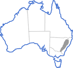 Distribution map for Litoria booroolongensis