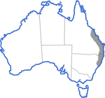 Distribution map for Litoria chloris