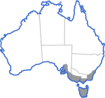 Distribution map for Litoria ewingi