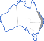 Distribution map for Litoria fallax