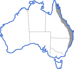 Distribution map for Litoria gracilenta