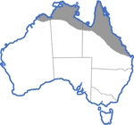 Distribution map for Litoria inermis