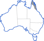 Distribution map for Litoria infrafrenata