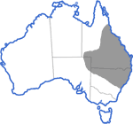 Distribution map for Litoria latopalmata
