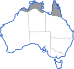 Distribution map for Litoria microbelos