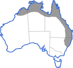 Distribution map for Litoria nasuta