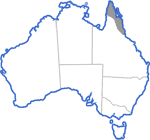 Distribution map for Litoria nigrofrenata