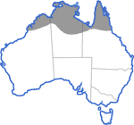 Distribution map for Litoria pallida