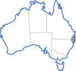 Distribution map for Litoria pearsoniana