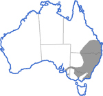 Distribution map for Litoria peroni