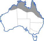 Distribution map for Litoria rothi