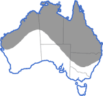 Distribution map for Litoria rubella