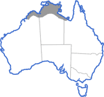 Distribution map for Litoria tornieri