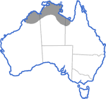 Distribution map for Litoria watjulumensis