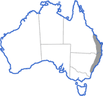 Distribution map for Mixophyes fasciolatus