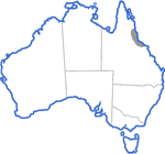 Distribution map for Mixophyes schevilli