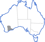 Distribution map for Neobatrachus albipes