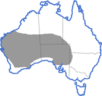 Distribution map for Neobatrachus centralis
