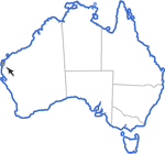 Distribution map for Neobatrachus fulvus