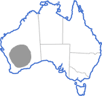 Distribution map for Neobatrachus kunapalari