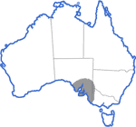 Distribution map for Neobatrachus pictus