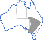 Distribution map for Neobatrachus sudelli