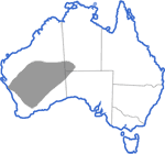 Distribution map for Neobatrachus sutor