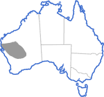 Distribution map for Neobatrachus wilsmorei