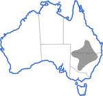 Distribution map for Notaden bennetti