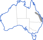 Distribution map for Pseudophryne major