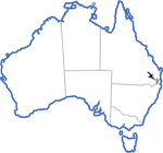 Distribution map for Taudactylus diurnus