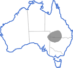 Distribution map for Uperoleia capitulata