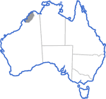 Distribution map for Uperoleia crassa