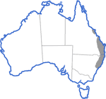 Distribution map for Uperoleia fusca