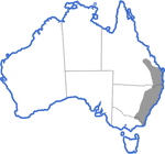Distribution map for Uperoleia laevigata