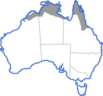 Distribution map for Uperoleia lithomoda
