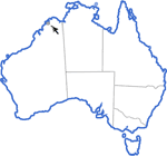 Distribution map for Uperoleia marmorata