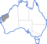 Distribution map for Uperoleia russelli