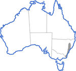 Distribution map for Uperoleia tyleri